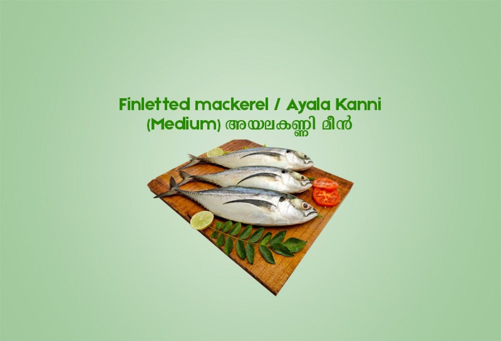 Finletted mackerel / Ayala Kanni (Medium) അയലകണ്ണി  മീൻ - 500 gm 